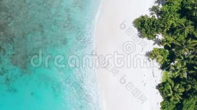 空中无人机4k镜头移动在热带天堂沙滩海岸线与椰子棕榈树和绿松石